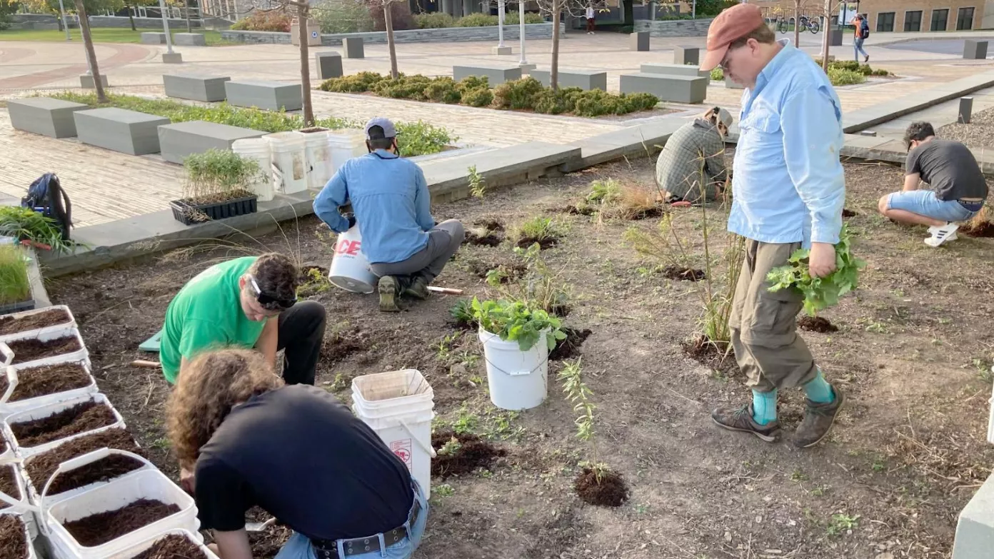 Campus community members work in the Alvar Garden