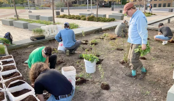 Campus community members work in the Alvar Garden